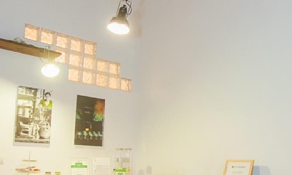 img in gallery